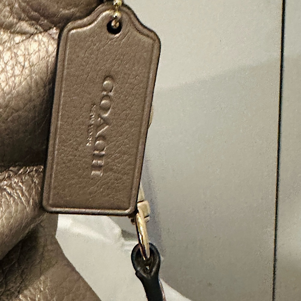 COACH Isabella Shoulder/Crossbody Bag,Pebble Leather,Light Metallic Champagne - Picture 6 of 15